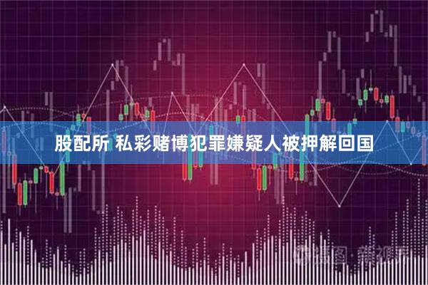 股配所 私彩赌博犯罪嫌疑人被押解回国