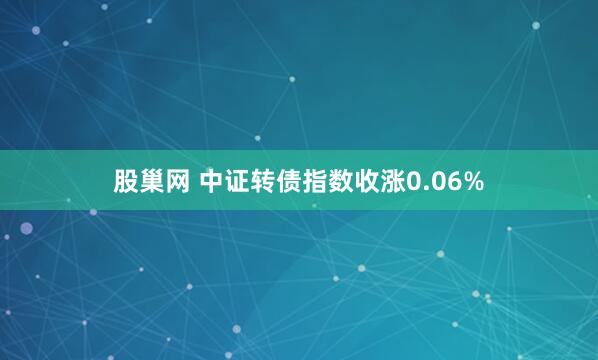 股巢网 中证转债指数收涨0.06%