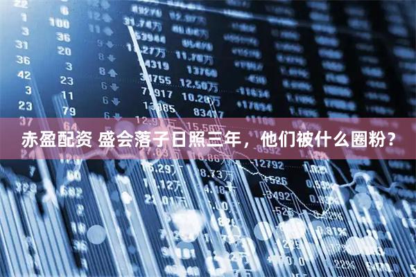 赤盈配资 盛会落子日照三年，他们被什么圈粉？