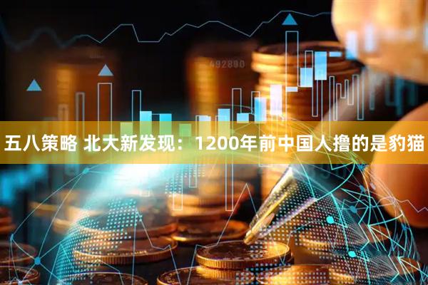 五八策略 北大新发现：1200年前中国人撸的是豹猫