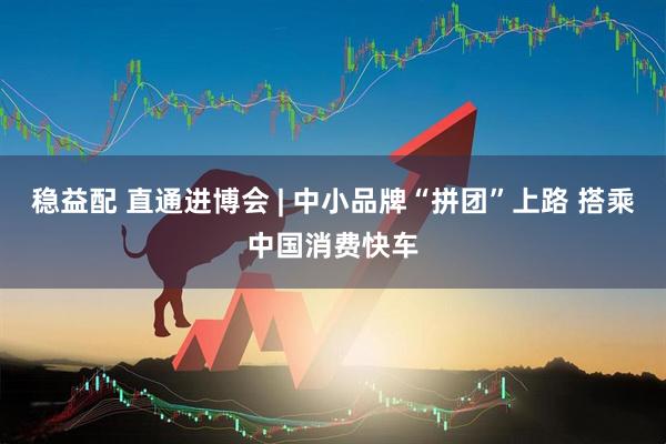 稳益配 直通进博会 | 中小品牌“拼团”上路 搭乘中国消费快车