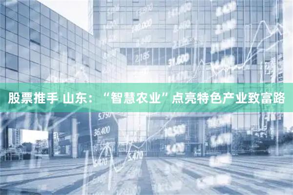 股票推手 山东：“智慧农业”点亮特色产业致富路